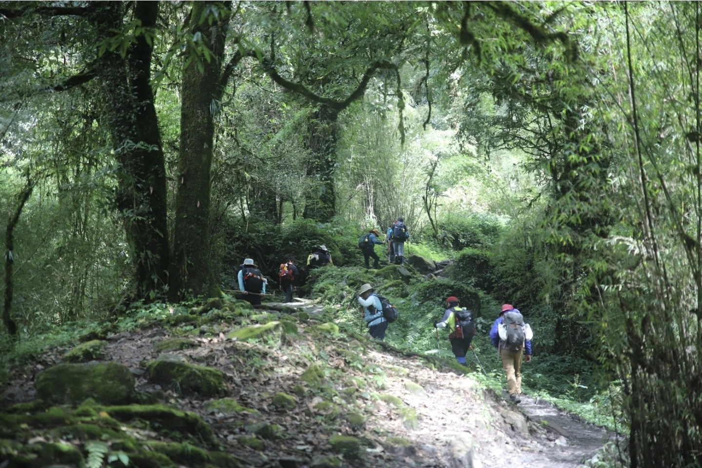 Annapurna Base Camp (ABC) Trek photo 5
